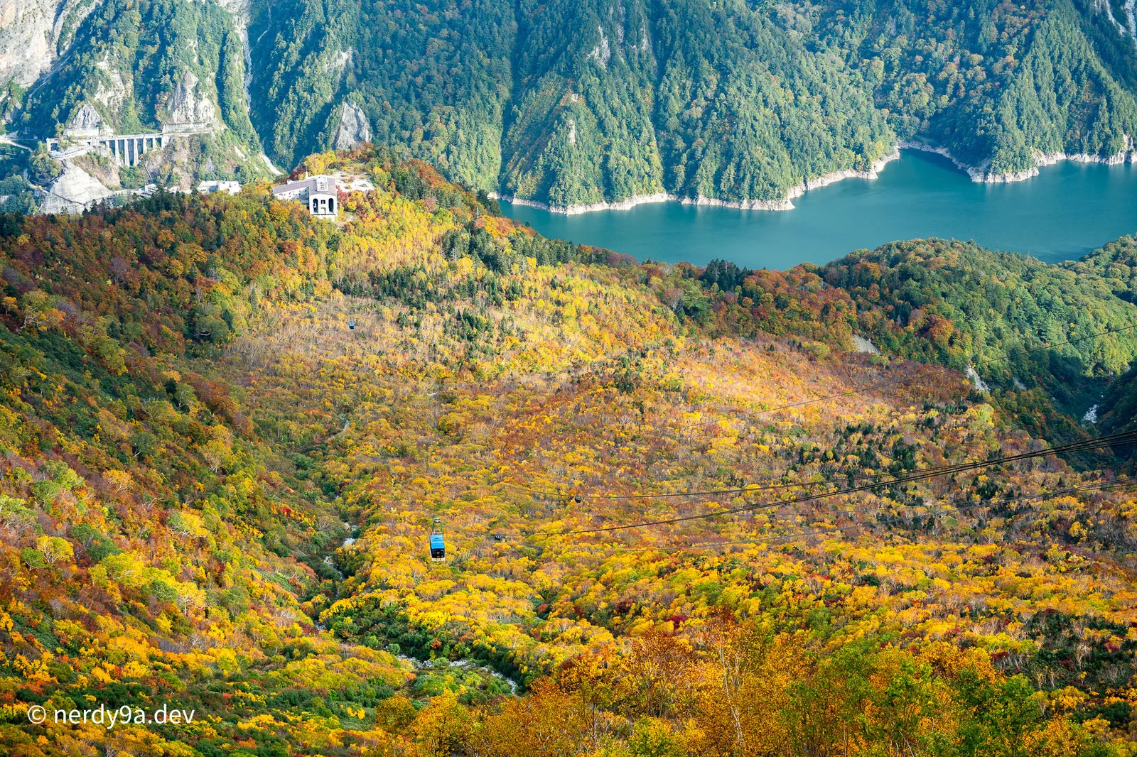 Close-up of the blue Tateyama Ropeway cabin gliding over peak red and gold autumn trees with Kurobe Lake in the background