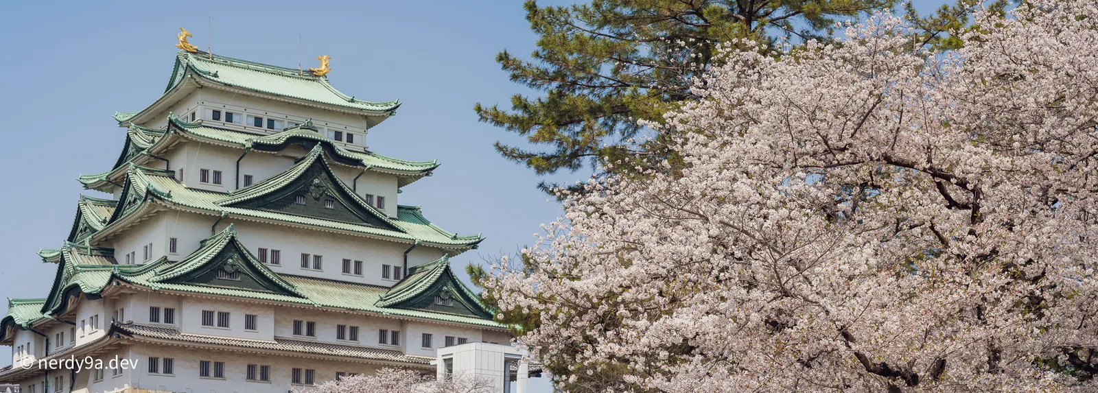 Nagoya Sakura & Sightseeing